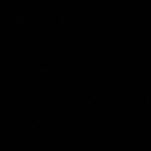 Meet your Posher, Noel